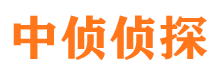 灵台外遇调查取证